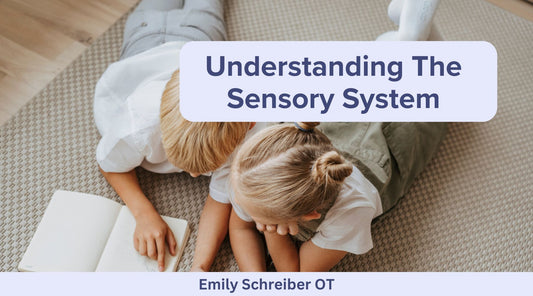 Understanding The Sensory System